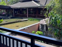 -西双版纳洲际度假酒店-曼霖轩中餐厅