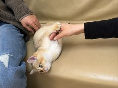 -宠颐生中康贝怡动物医院