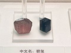 -天津自然博物馆