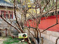 -青岛崂山太清宫