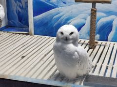 -成都浩海立方海洋公园