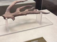 -嘉定博物馆