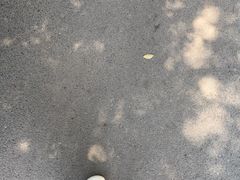 -索拉古贝(义乌北苑店)