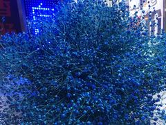-新加坡斯味洛·鲜奶茶(石牌东店)