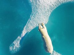 -牛坂亭 . 和牛烤肉海鲜酒场(工农路店)