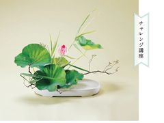 -今日陶艺(富力广场店)