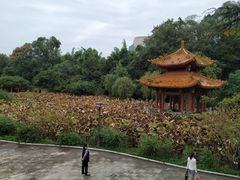 -富乐山