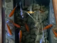 -印象江南(东栅店)