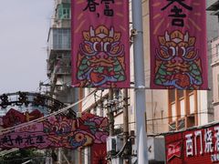 -溪岸路花鸟市场