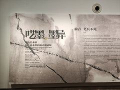 -南京书画院金陵美术馆