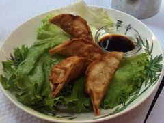 -熊猫川菜馆 panda chine