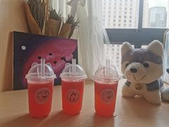 -Husky Go! 哈士奇体验馆·宠物咖啡厅狗咖