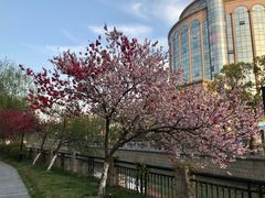 -南通濠河风景名胜区