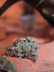 -Zoolung Zoolung动物主题公园(海信广场店)