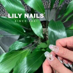 -LILY NAILS美甲美睫