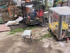 -马陆小张葡萄园农家乐