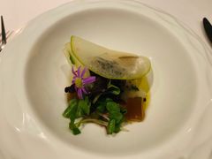 冰岛海鳌虾塔塔-蝶舍·MAISON PAPILLON