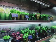 -海鼎荟海鲜姿造(晋江宝龙店)