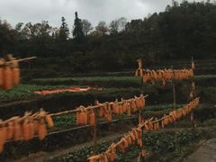 -塔川景区