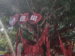 -温州乐园