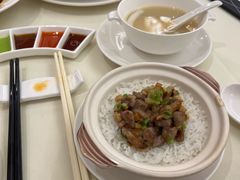 鲜藤椒蒸鱼云-利苑酒家(金宝店)