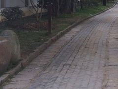 -雨花胜境