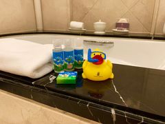 -广州富力丽思卡尔顿酒店