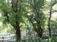 -广州中医药大学第一附属医院(总院)