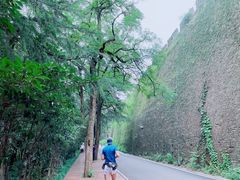 -紫金山山顶公园