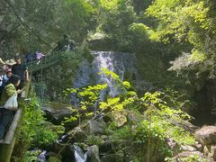 -藏龙百瀑风景区