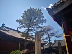 -五台山风景名胜区-罗睺寺