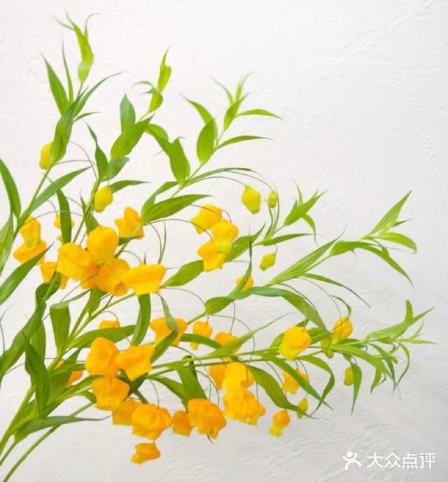 💢🌟鲜花中的爱马仕🌟💢