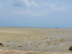 -北海金海湾红树林生态旅游区