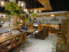 大堂-柴务处·柴犬主题狗咖