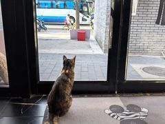 -EATALIA意塔利意式餐厅(鼓楼店)