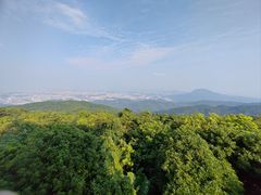 -东莞市大岭山森林公园
