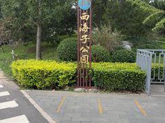 -西海子公园