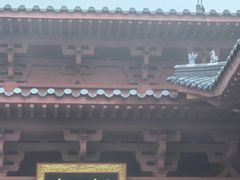 -秦岭天竺山景区