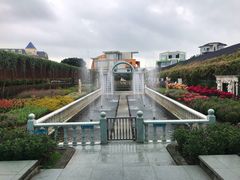 -百万葵园