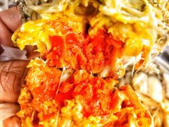 -小陆莲花蟹园农家乐(莲花岛店)