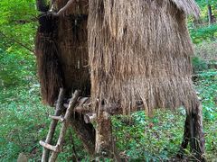 -本溪关山湖风景区