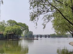 -石家庄市植物园