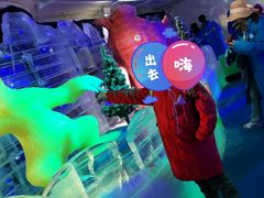 -灵玲国际马戏城