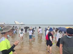 -碧海金沙