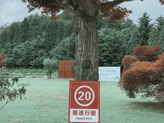 -四明山国家森林公园