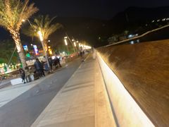 -新金盛·海鲜酒楼(盐田店)