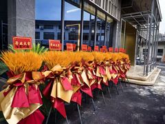 -淘花源花艺鲜花店 开业花篮 绿植(南部商务区店)
