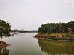 -大兴滨河森林公园