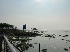 -滆湖低碳生态公园
