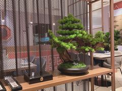 -必胜客(华邦银泰店)